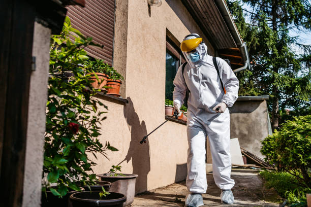 Best Pest Inspection Near Me  in Buckhall, VA