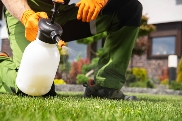 Pest Control for Restaurants in Buckhall, VA