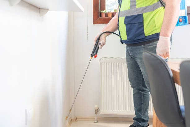Best Affordable Pest Control Services  in Buckhall, VA
