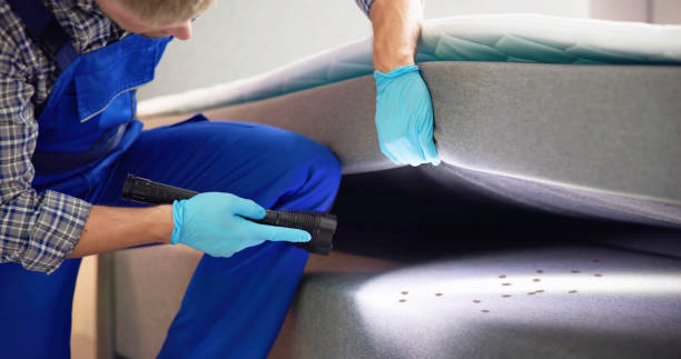 Best Pest Prevention Services  in Buckhall, VA